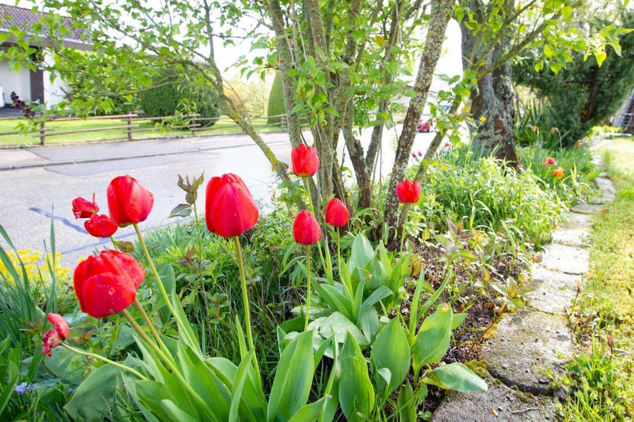 Schoene Und Helle Ferienwohnung In Pfaffenweiler Villingen-Schwenningen Bagian luar foto